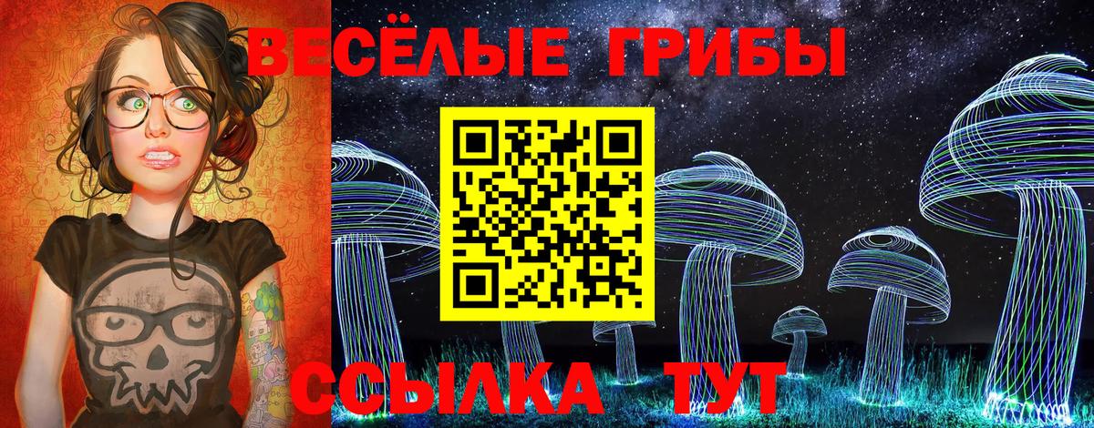 Тавда  Псилоцибиновые грибы Psilocybine cubensis  Вход с VPN 