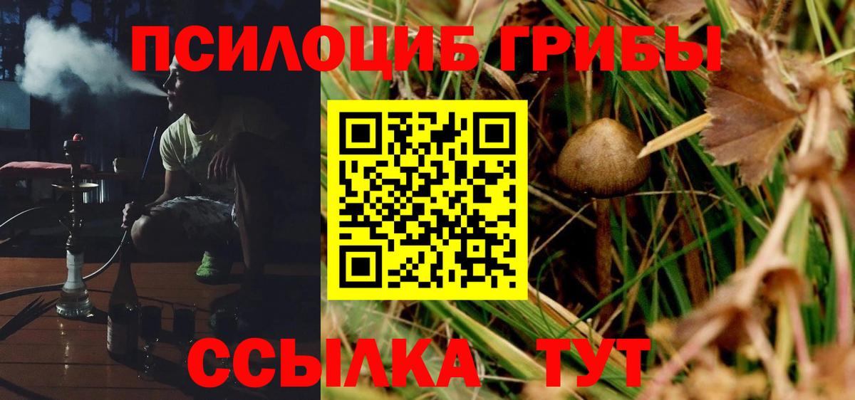 Галлюциногенные грибы Cubensis Тавда